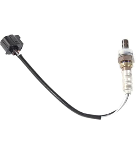 【専用】aaaさん ZX Studio Slam Dunk Team Manager Ayako 1/6 Collectible Resin